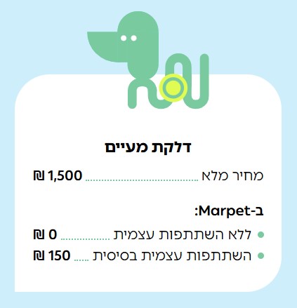 דלקות במערכת העיכול